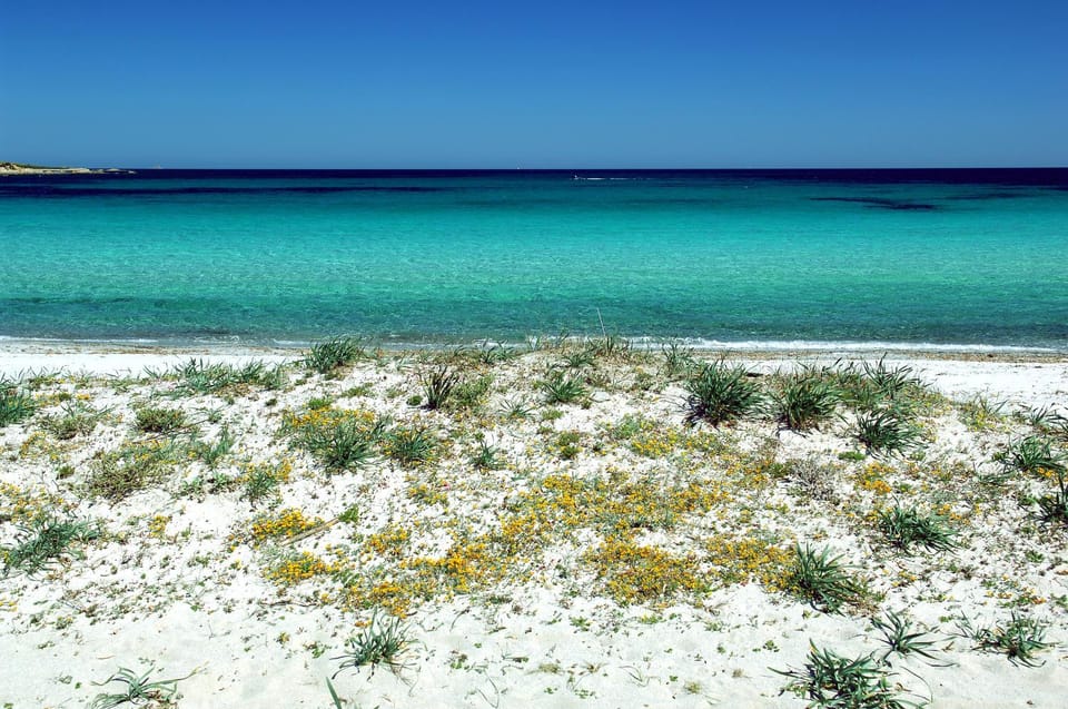 Beach, Beach