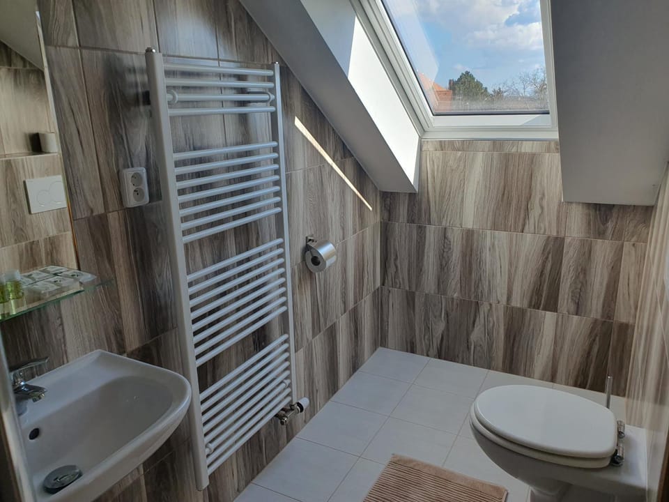 Pension Zelený strom Bed and Breakfast in South Moravian Region