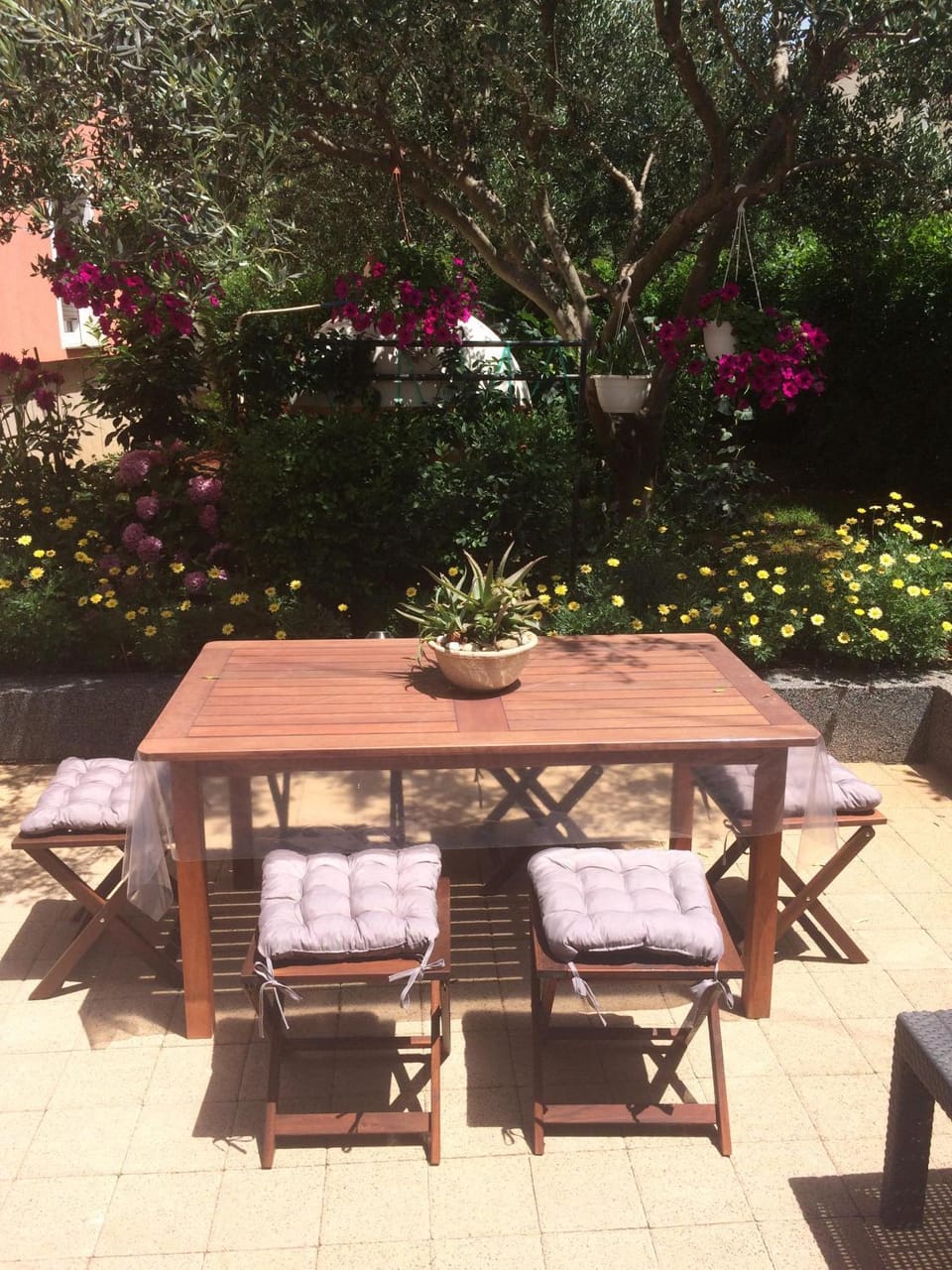 Apartman Bingo Apartment in Zadar