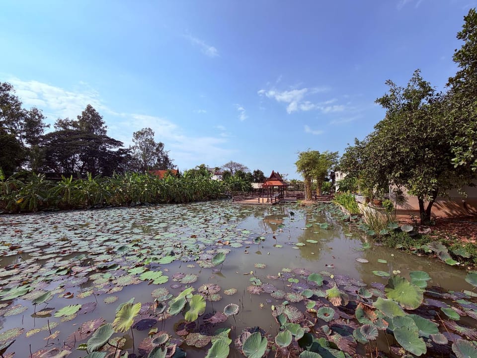 Natural landscape