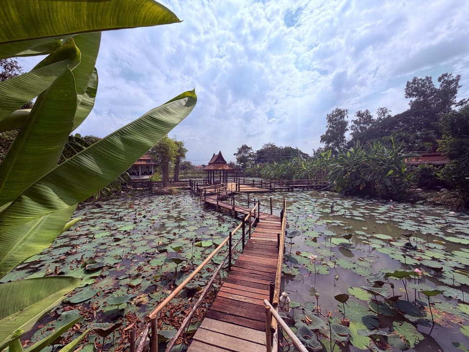 Natural landscape