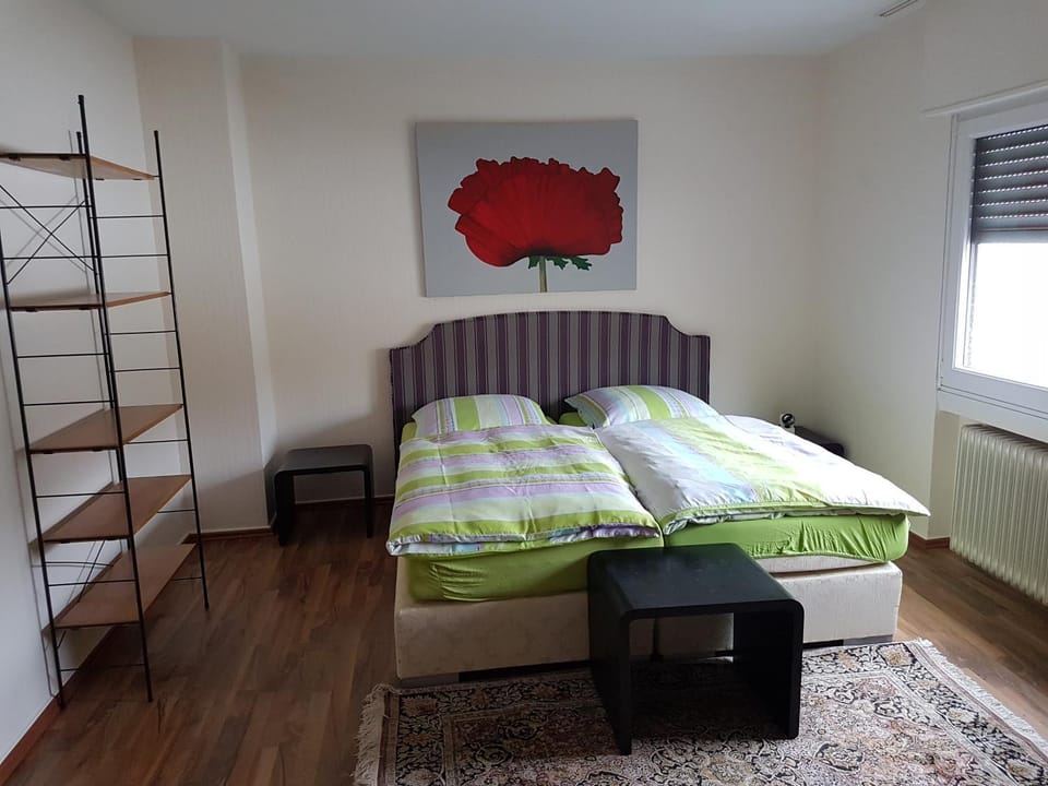 modern-comfort-inn 1 Apartment in Rhineland-Palatinate