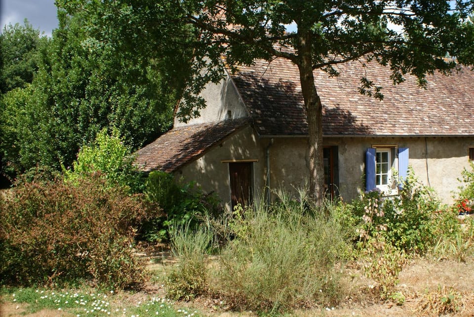 Property building, Facade/entrance, Garden