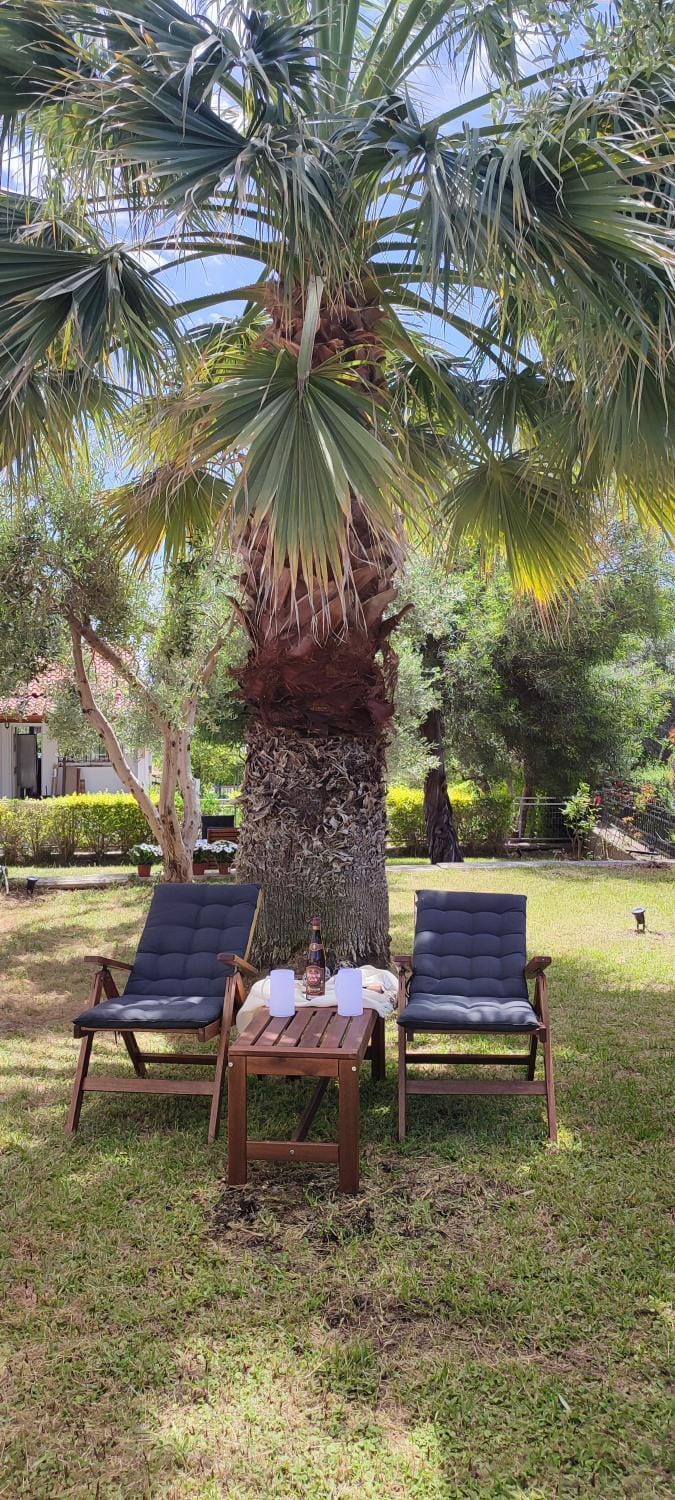 Patio, Spring, Day, Natural landscape, Garden, Garden, Garden view, sunbed