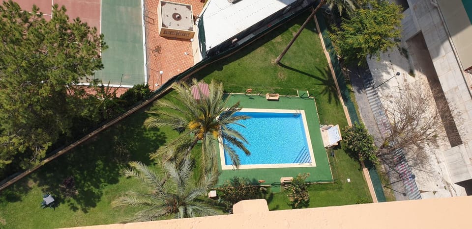 Garden, Swimming pool