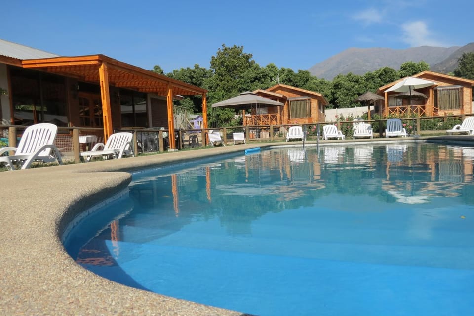 Day, Pool view, Swimming pool, sunbed