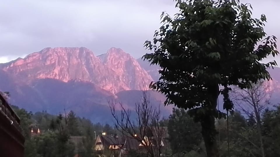 Property building, Mountain view