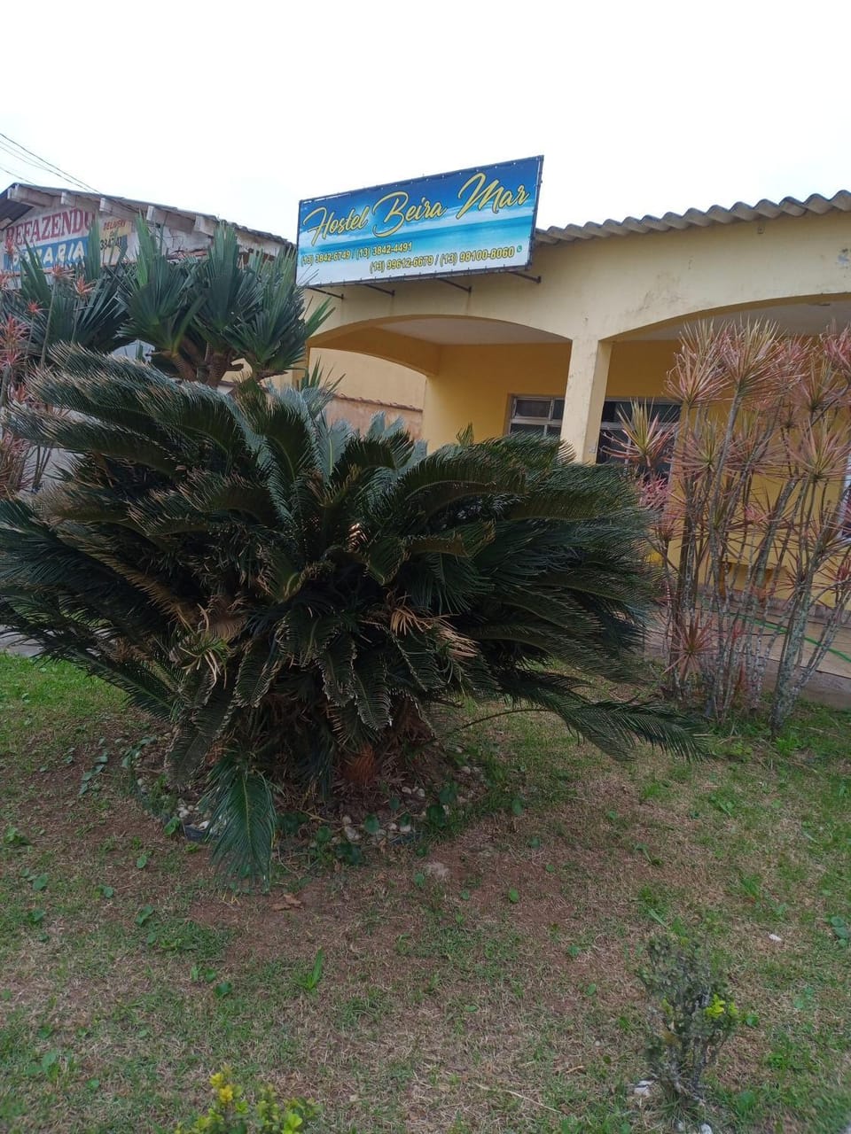 Property building, Garden view