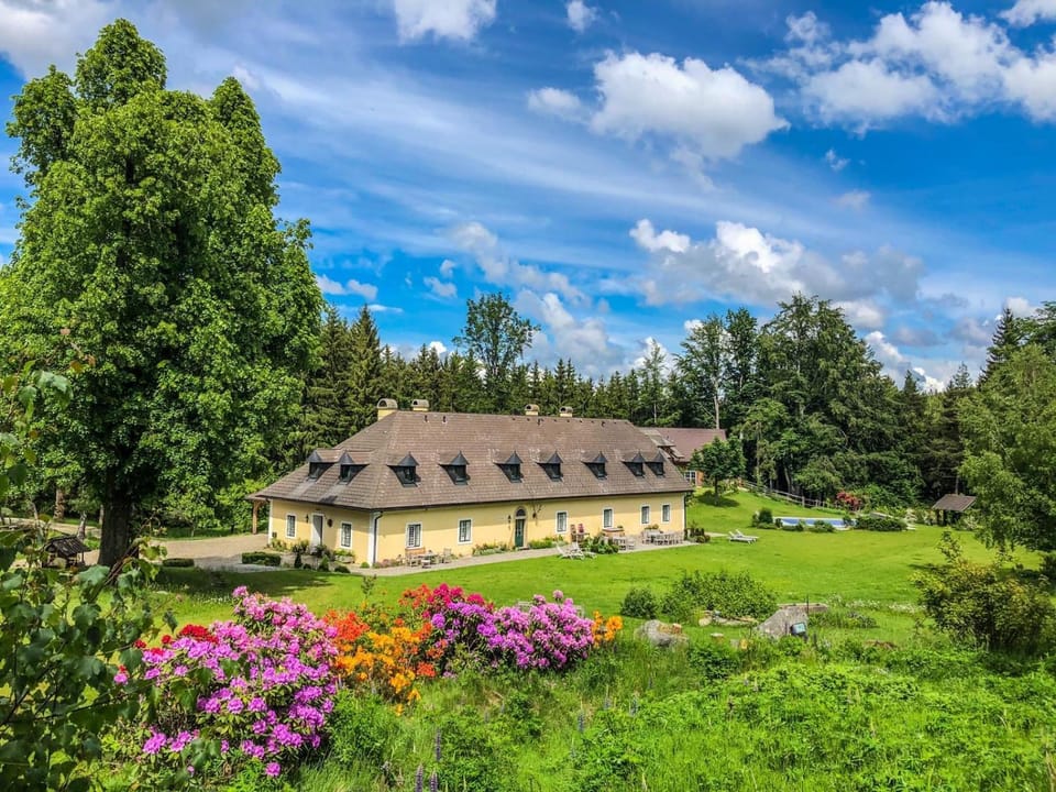 Property building, Spring, Natural landscape, Garden, Garden view