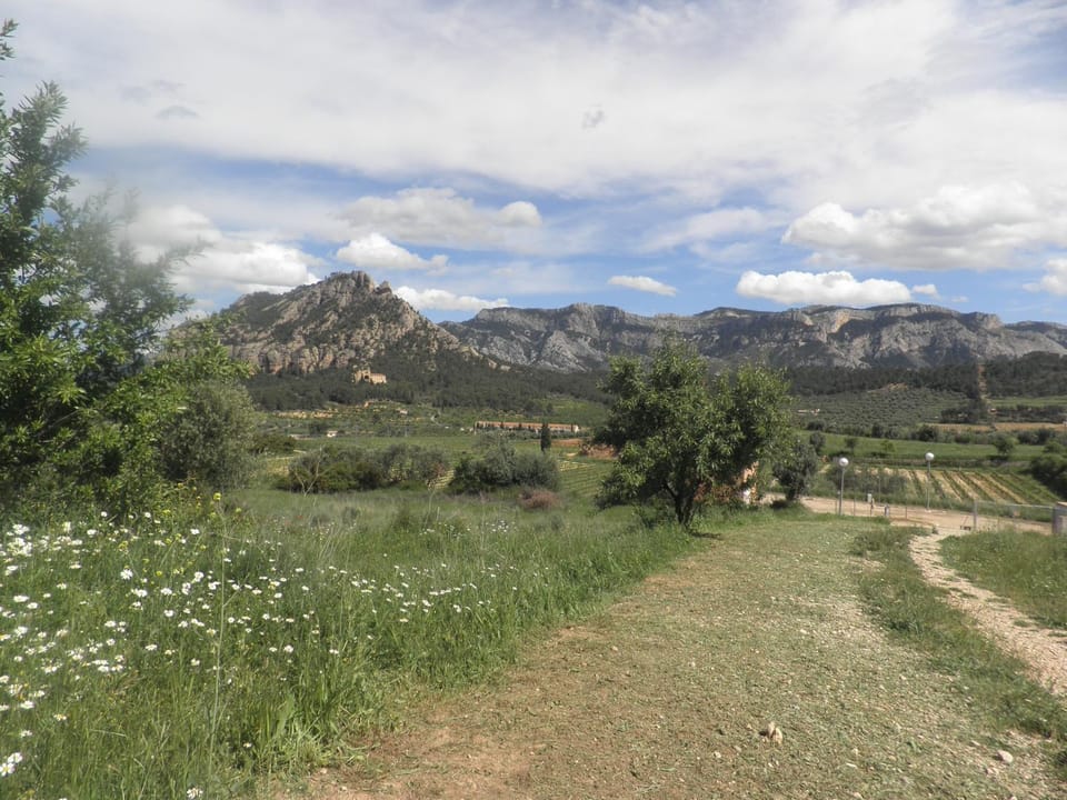 Horse-riding, Hiking, Cycling