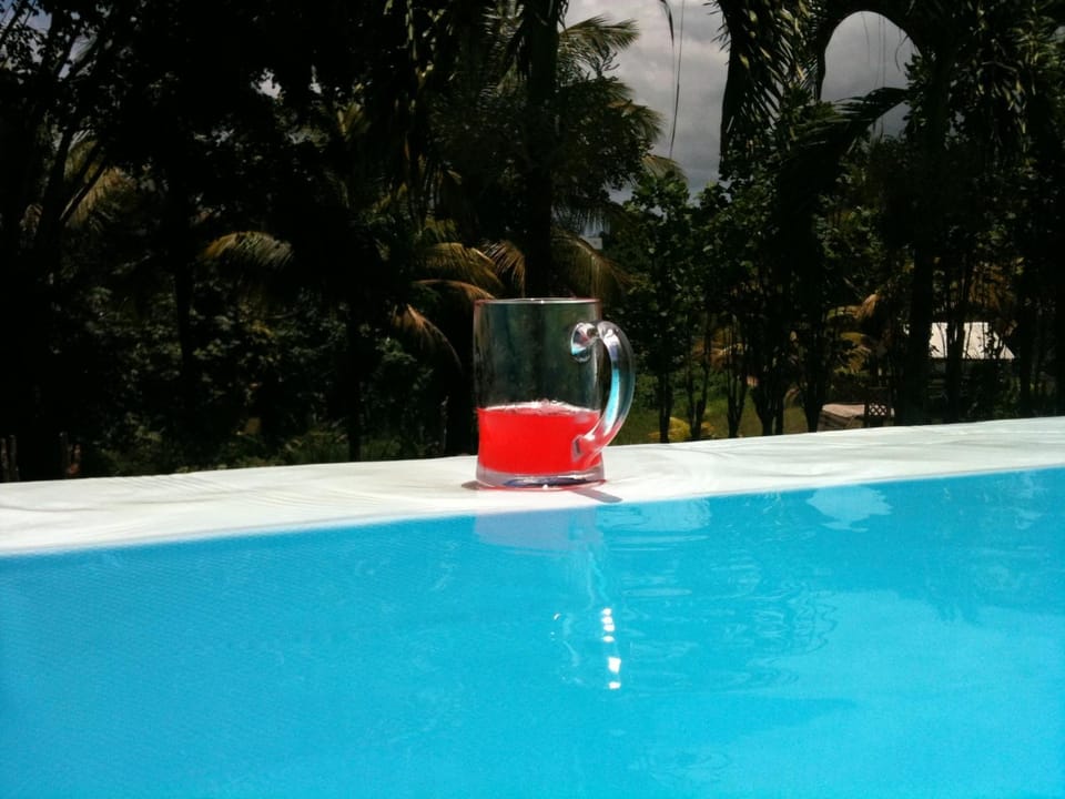 Villa LES TILILIS - BELLE VILLA DE 300 M2 SITUEE AU CALME AVEC GRANDE PISCINE ET VUE MONTAGNE House in Petit-Bourg