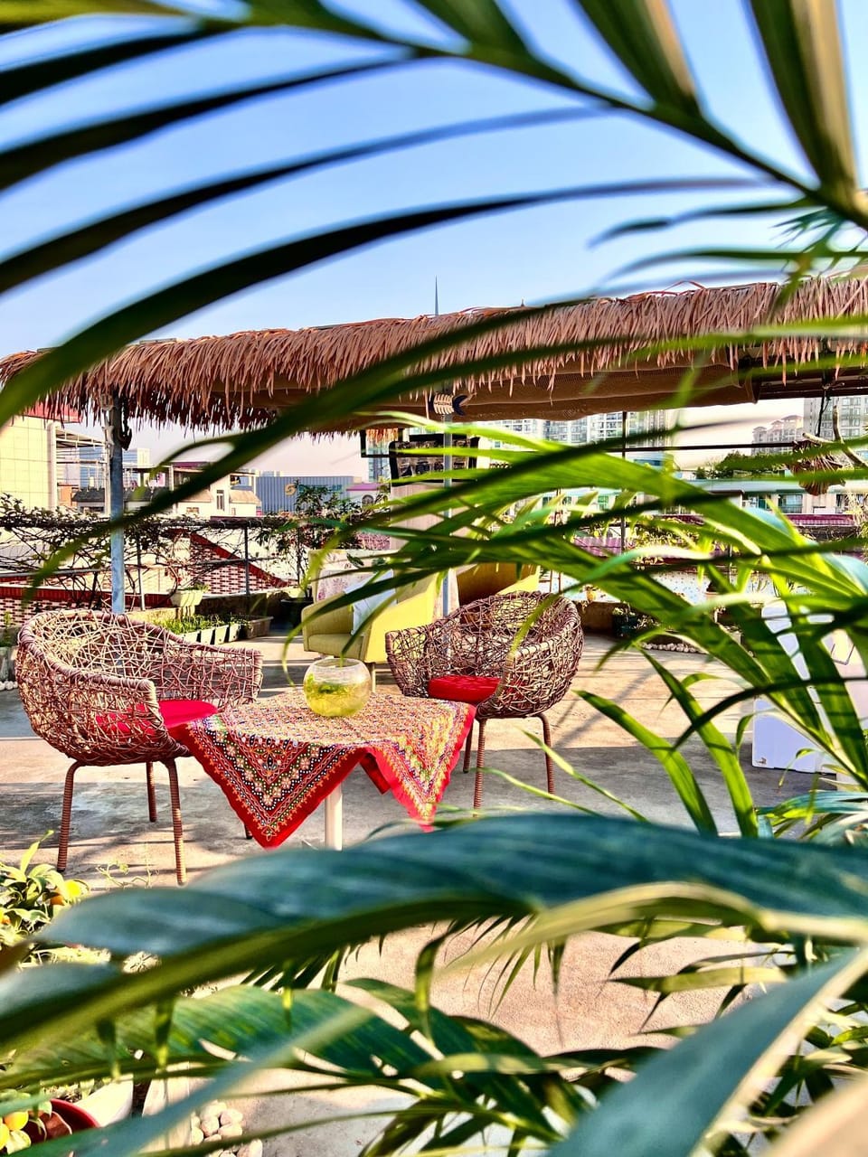 Day, Natural landscape, Garden, Balcony/Terrace