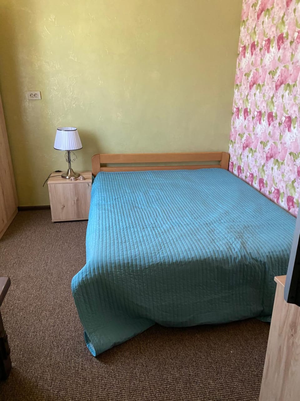 Дача у моря Bed and Breakfast in Odessa Oblast