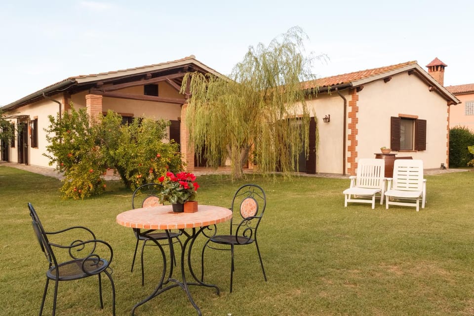 Patio, Garden