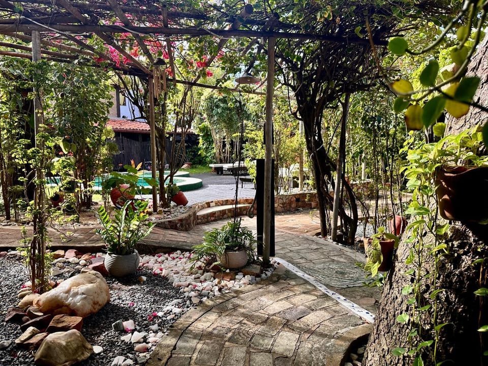 Natural landscape, Garden, Garden view