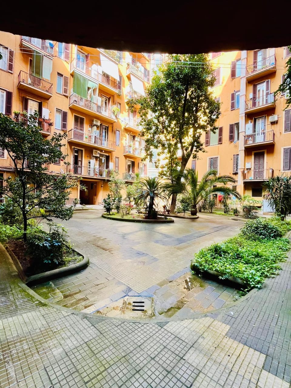 Garden view