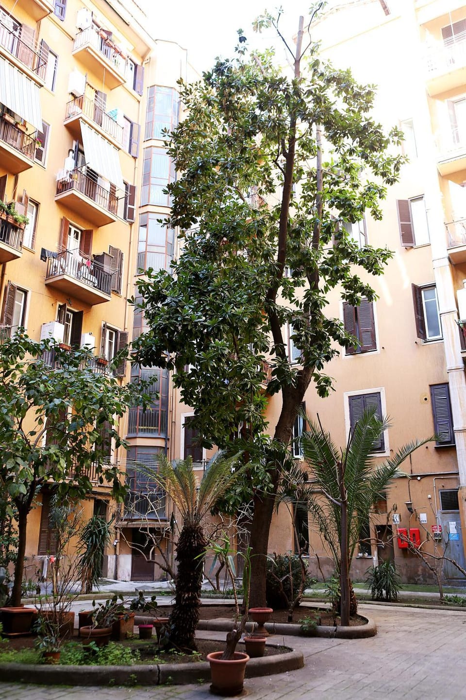 Property building