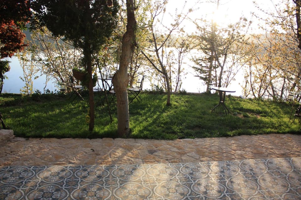 Natural landscape, Garden