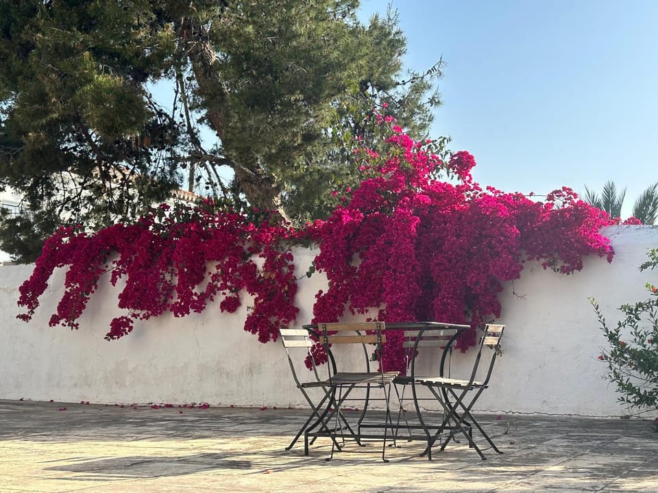 Two Olive Trees Country House in Spetses