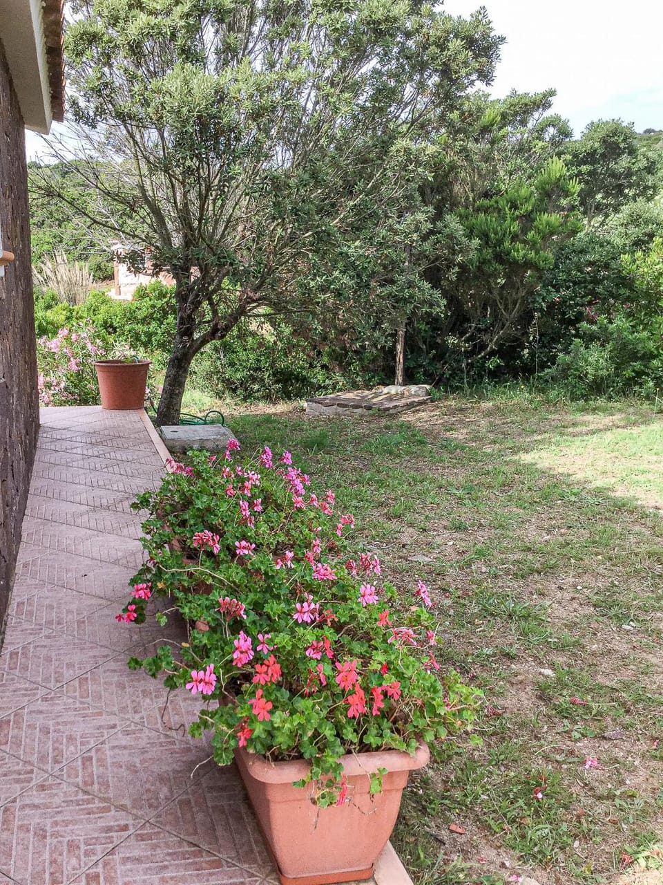 Natural landscape, Garden view