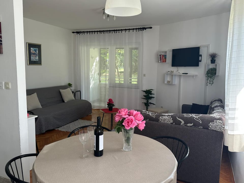 Living room, kitchen