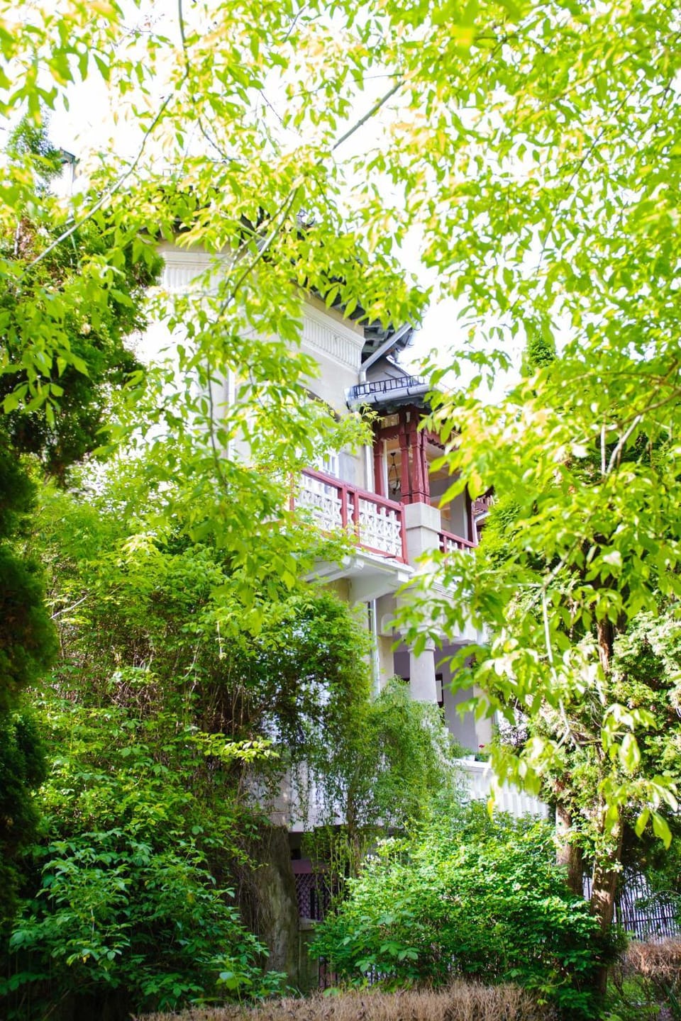 Garden view