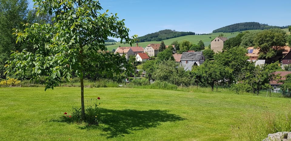 Garden, Mountain view
