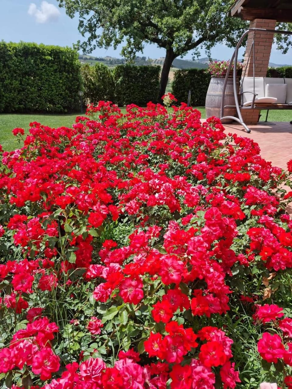 Le Siepi Farm Stay in Tuscany