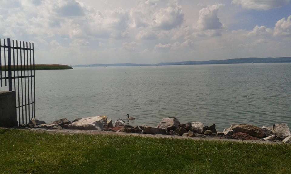 Nearby landmark, Spring, Day, Neighbourhood, Natural landscape, Fishing, Beach