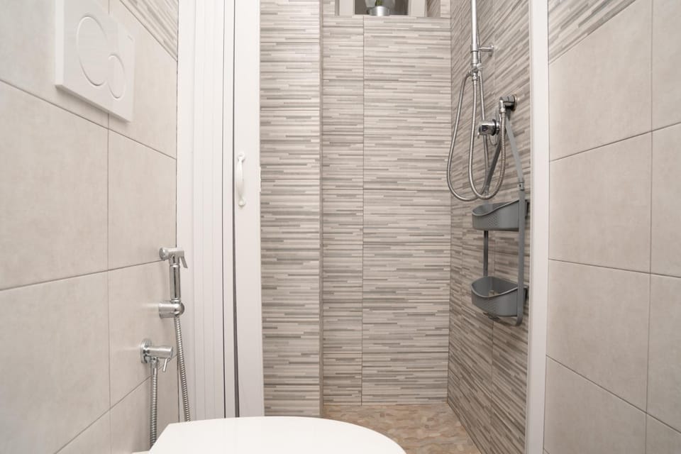 Shower, Toilet, Summer, Bathroom, Photo of the whole room, hair dryier, towels