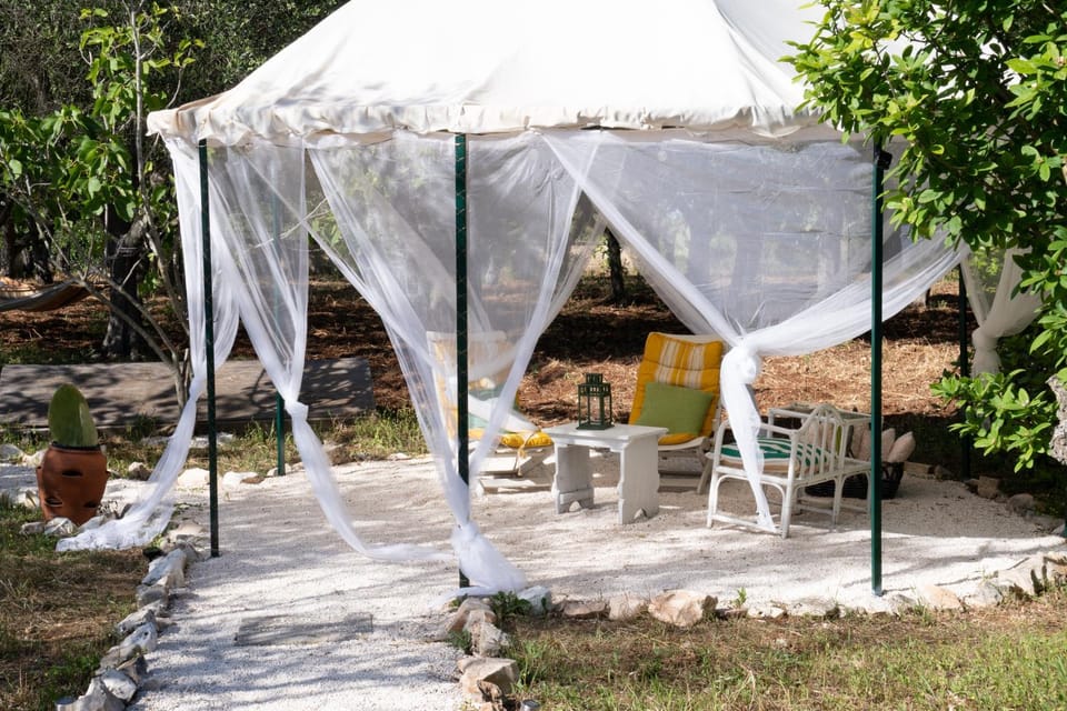 Patio, Spring, Day, Natural landscape, Summer, Garden, Dining area, Garden view, children