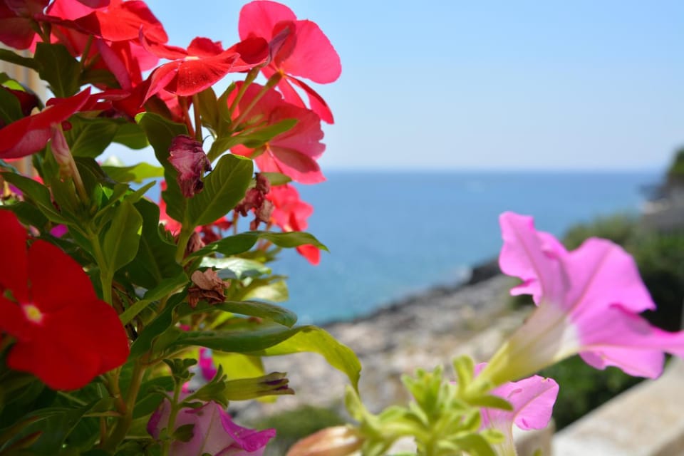Sea view