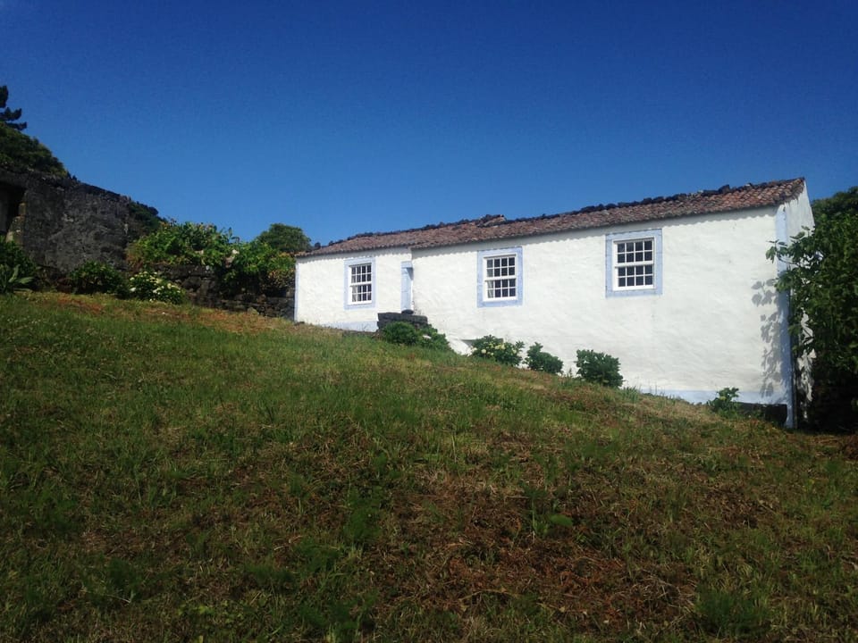 Property building, Garden, Garden view