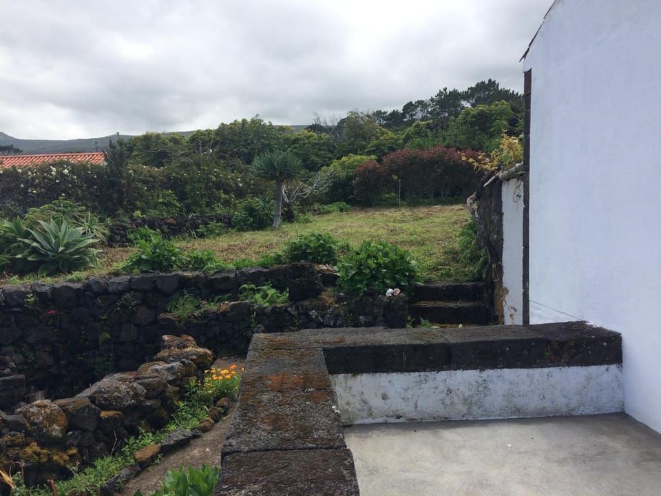 Garden, Balcony/Terrace