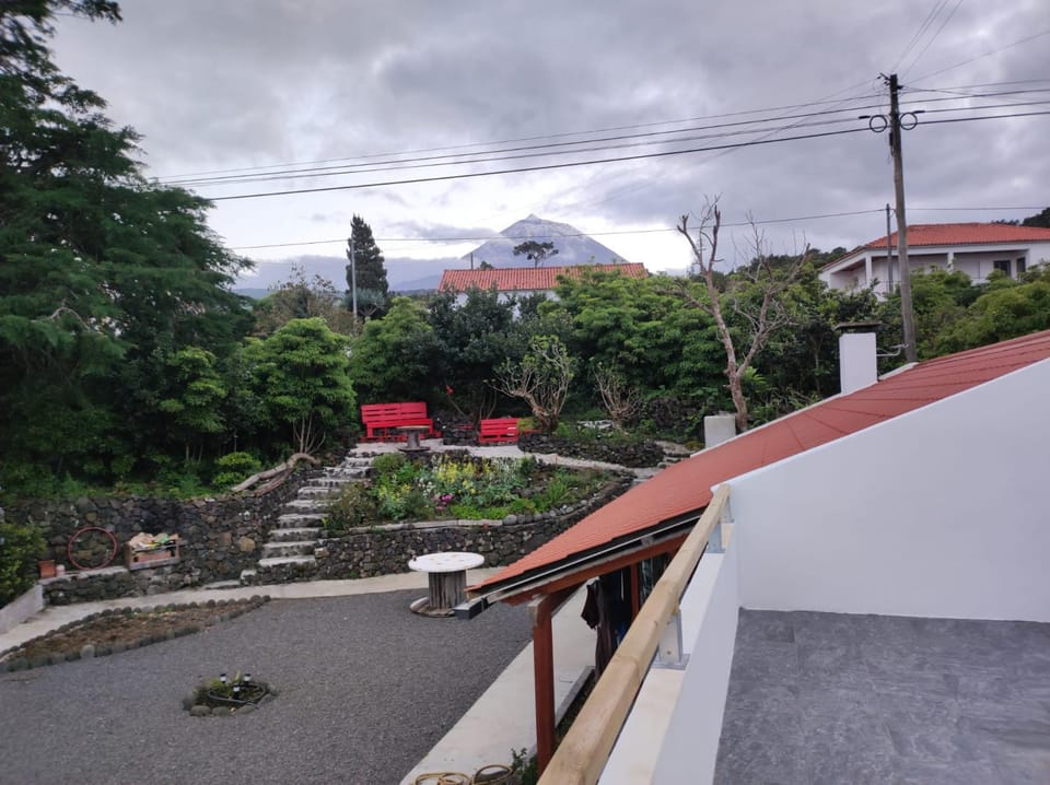Casinha de Pedra House in Azores District