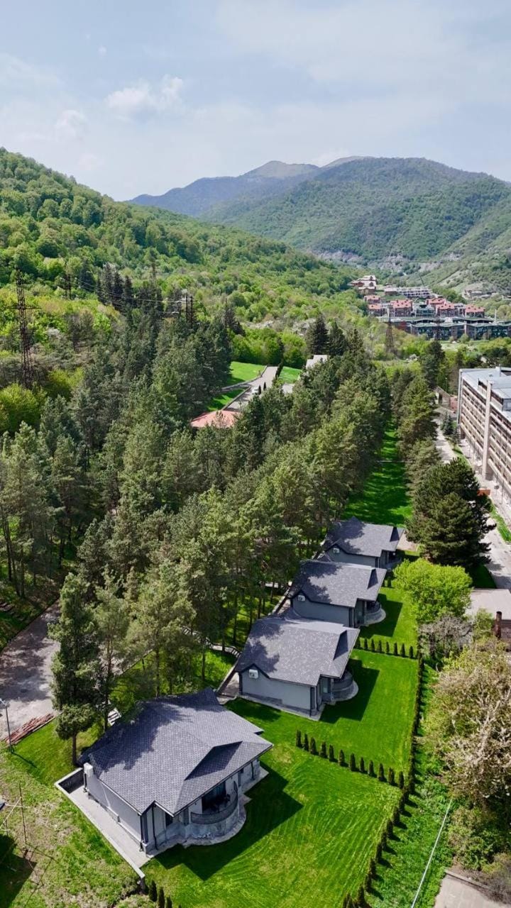 Spring, Day, Neighbourhood, Natural landscape, Bird's eye view, Mountain view, Street view