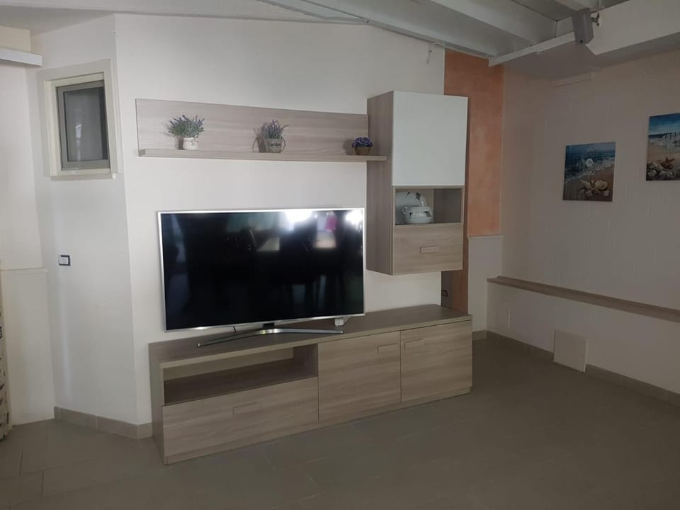 TV and multimedia