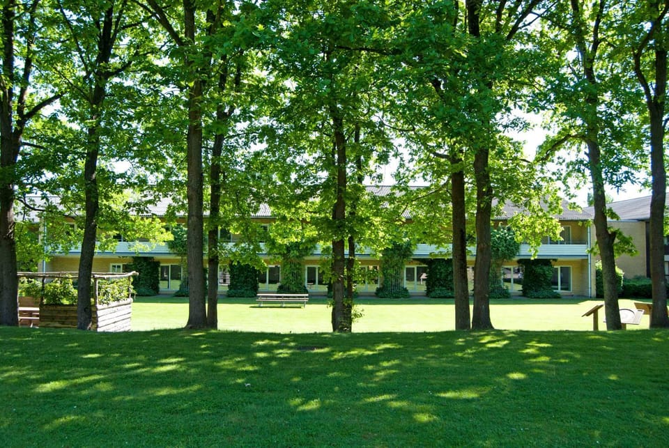 Natural landscape, Garden