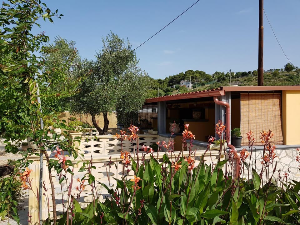 Property building, Spring, Day, Garden, Garden view