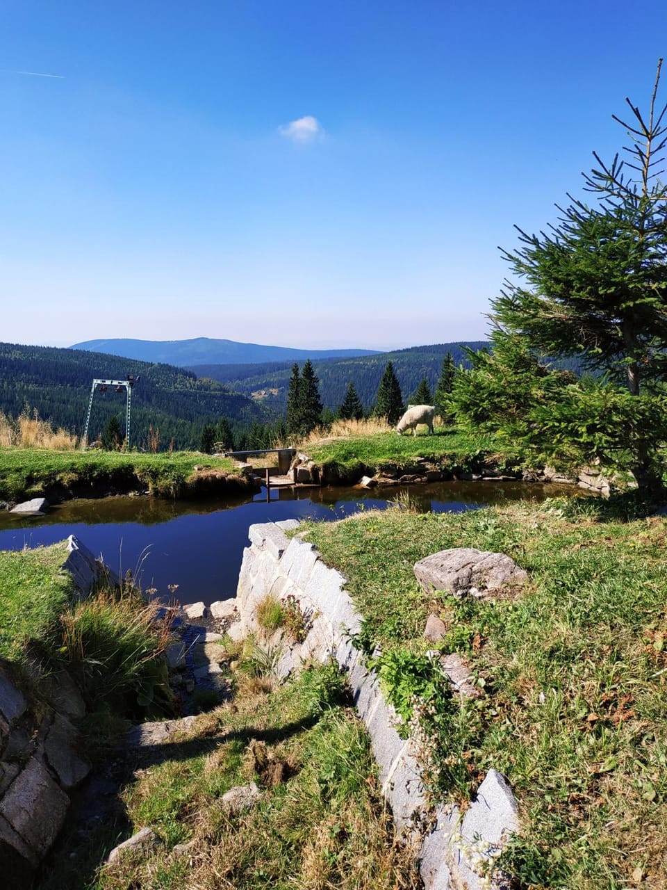 Natural landscape
