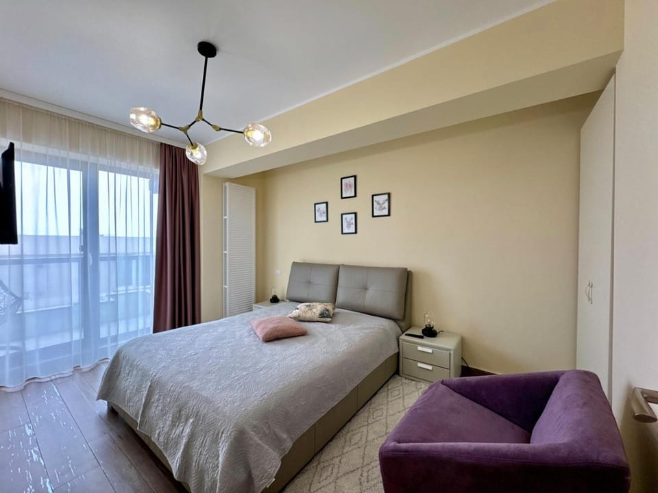 C&Y Zev Apartments Apartment in Constanta