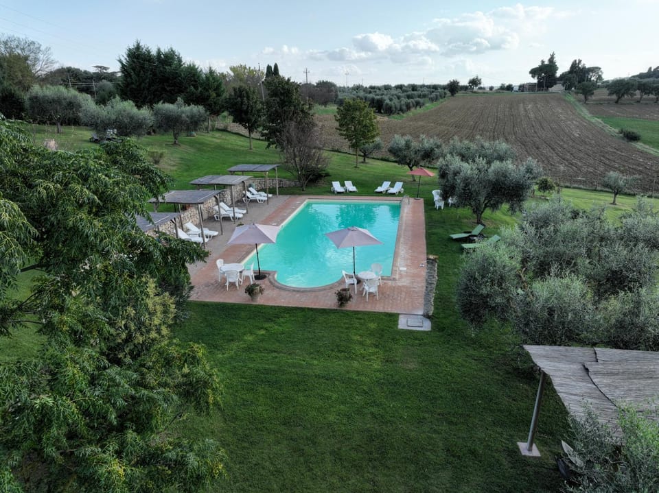 Natural landscape, Garden, Garden view, Pool view, sunbed
