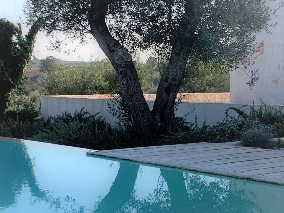 Garden, Swimming pool