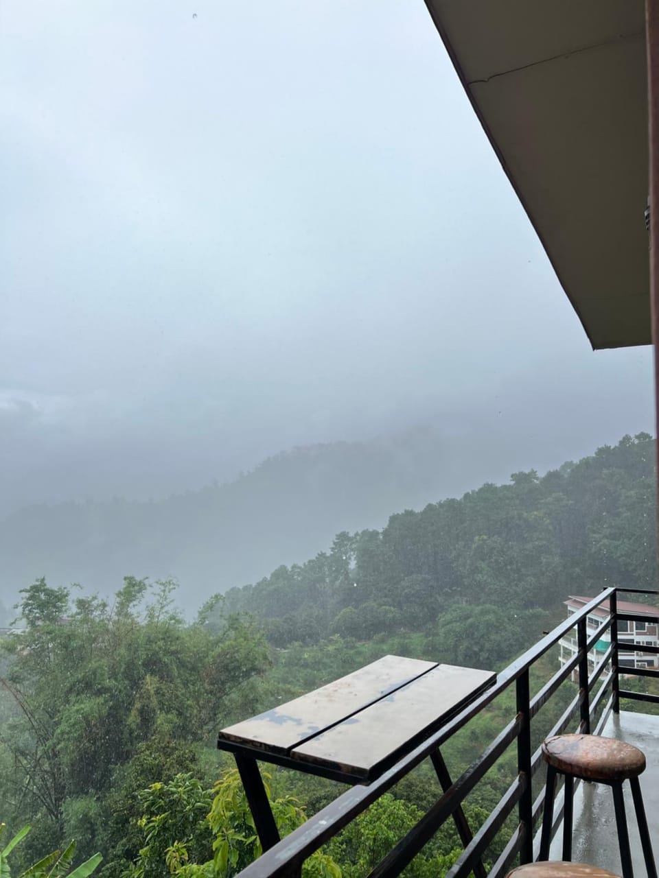 DoiTung Homestay ดอยตุงโฮมสเตย์ Vacation rental in Thailand