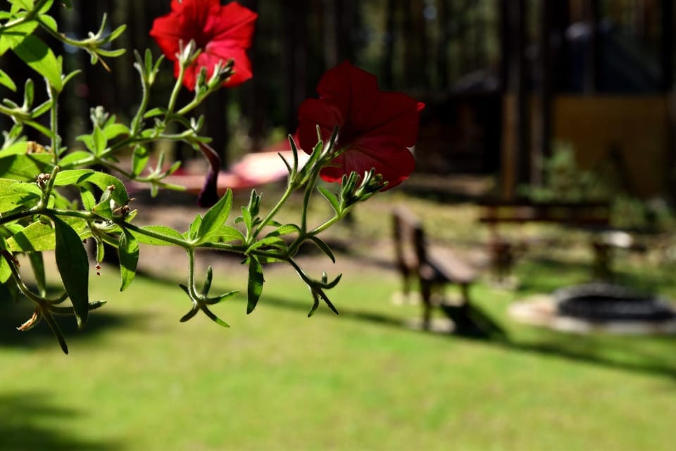 66 Szyszek Nature lodge in Lviv Oblast
