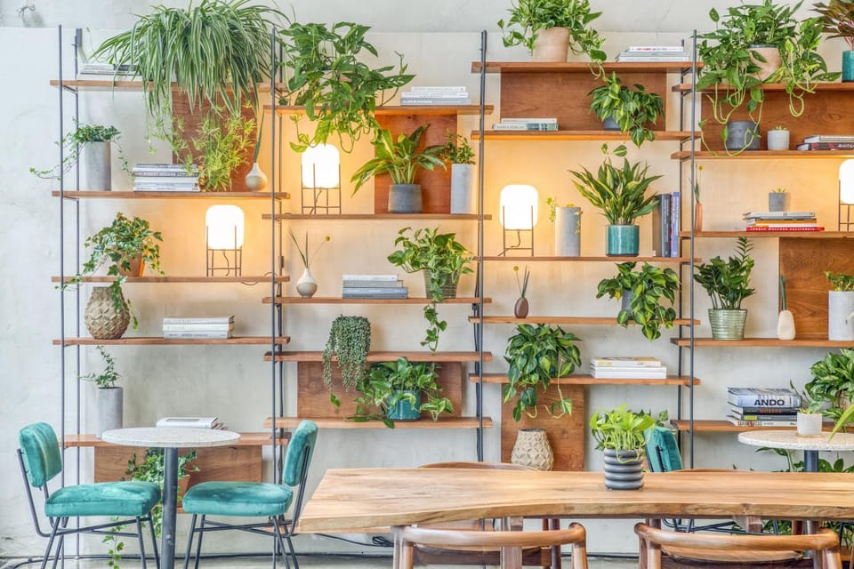 Restaurant/places to eat, Lunch, Dinner, Drinks