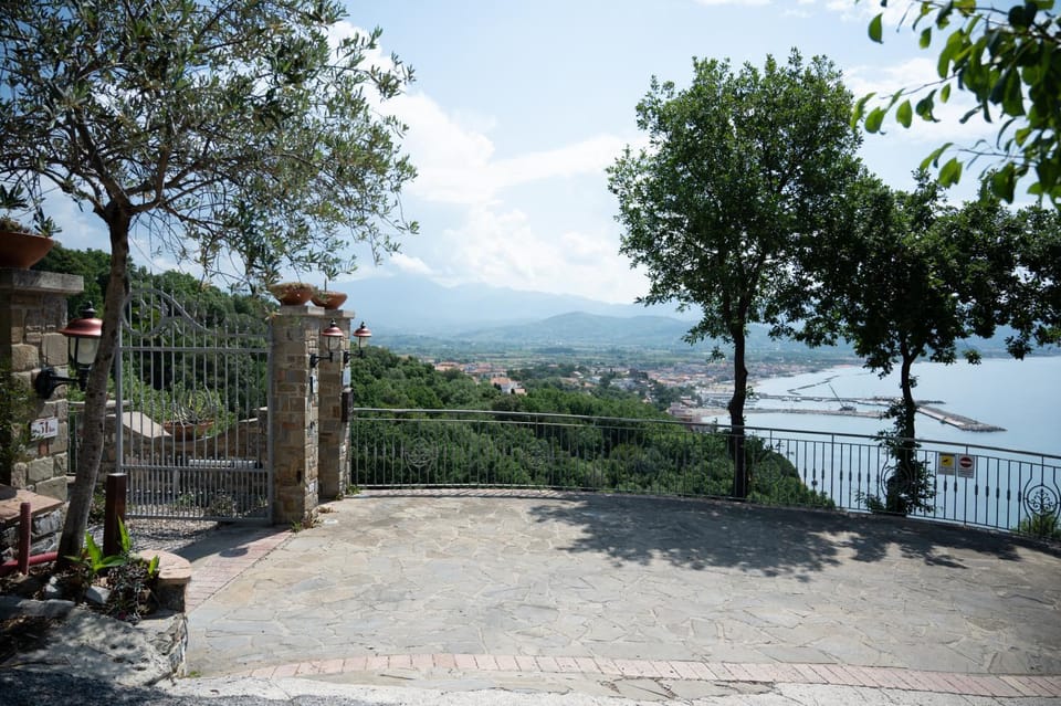 Natural landscape, Garden, Sea view
