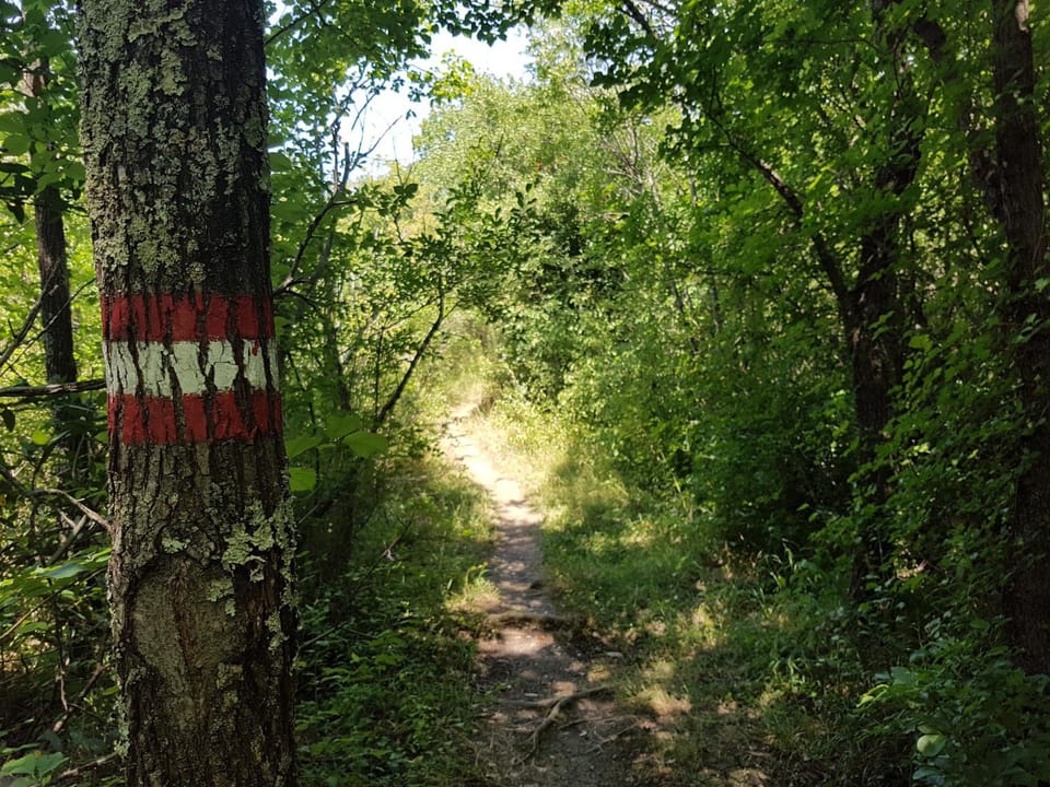 Spring, Day, Natural landscape, Hiking