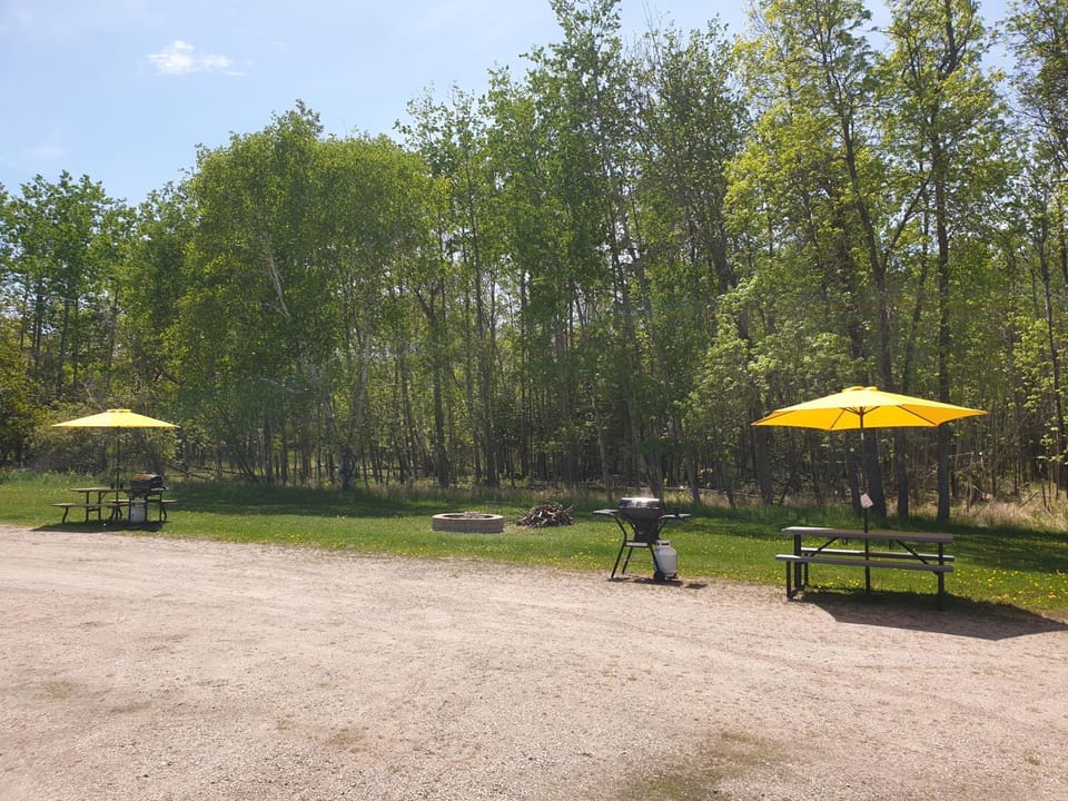 BBQ facilities, Garden, Garden view