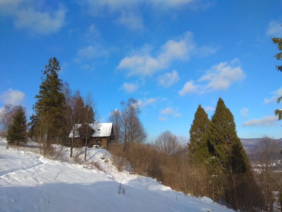 Property building, Neighbourhood, Natural landscape, Winter